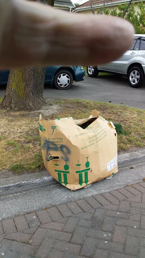 Rubbish/Recycling, a report photo