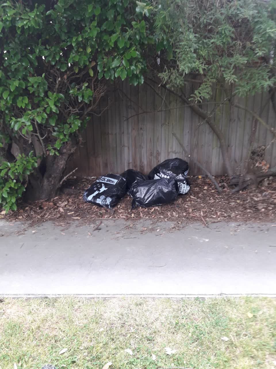 The photograph attached to this parks report