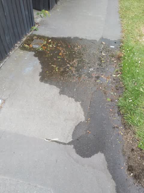 Water Supply, a report photo
