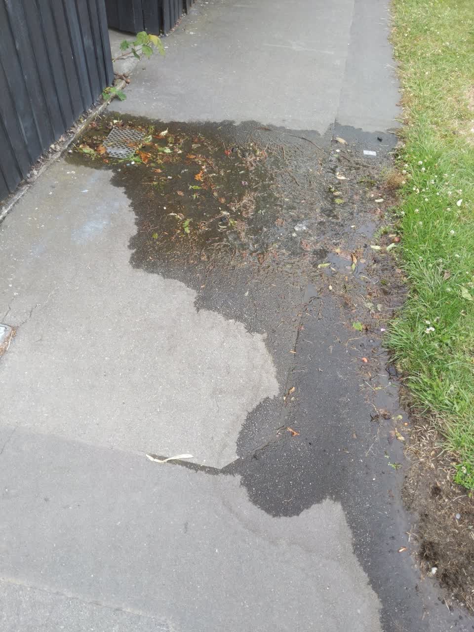 The photograph attached to this water supply report