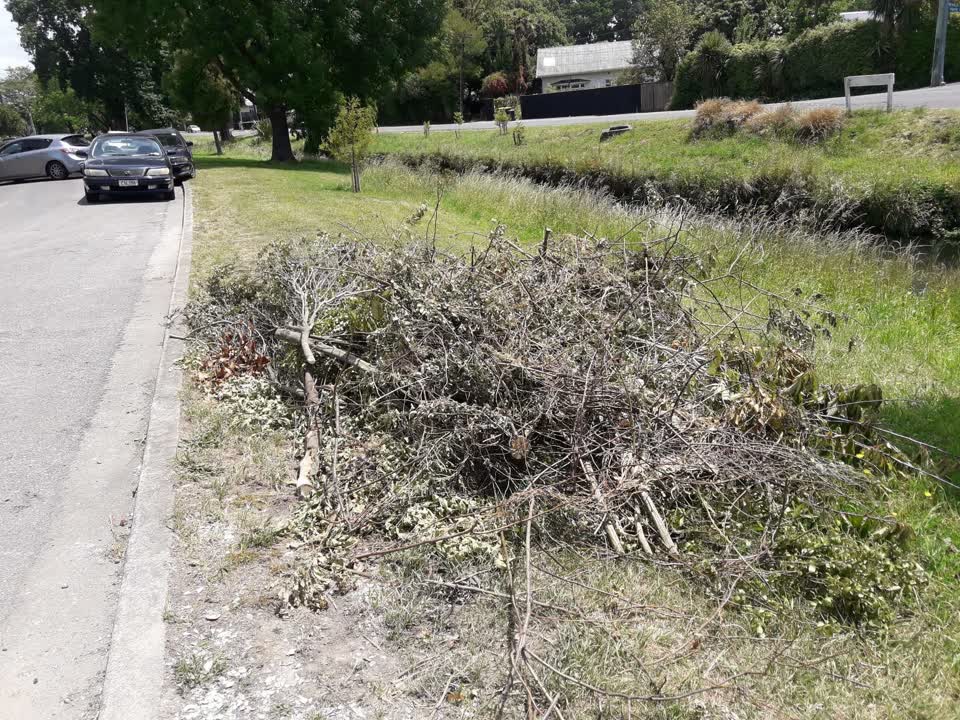 The photograph attached to this parks report