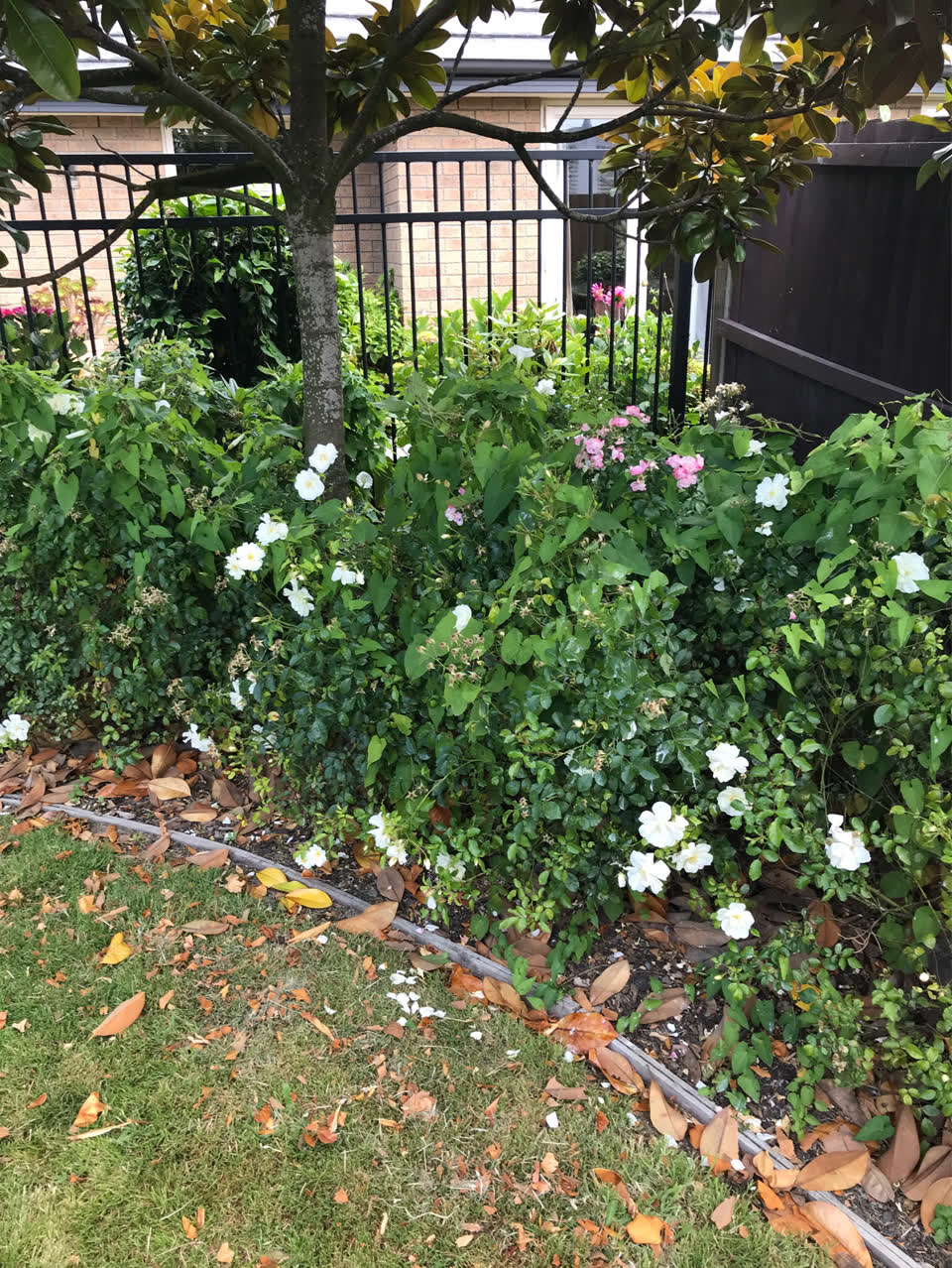 The photograph attached to this parks report