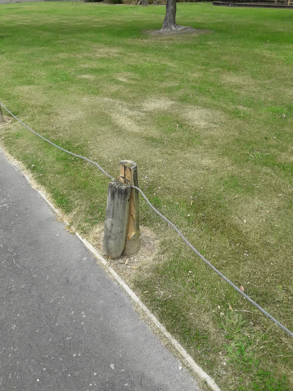 The photograph attached to this parks report