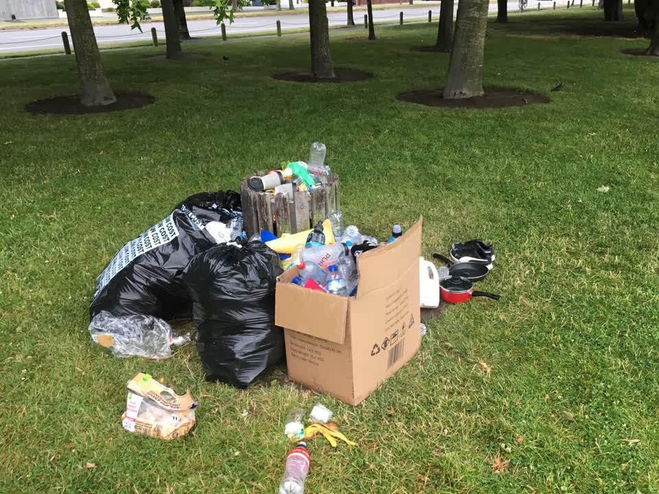 The photograph attached to this parks report