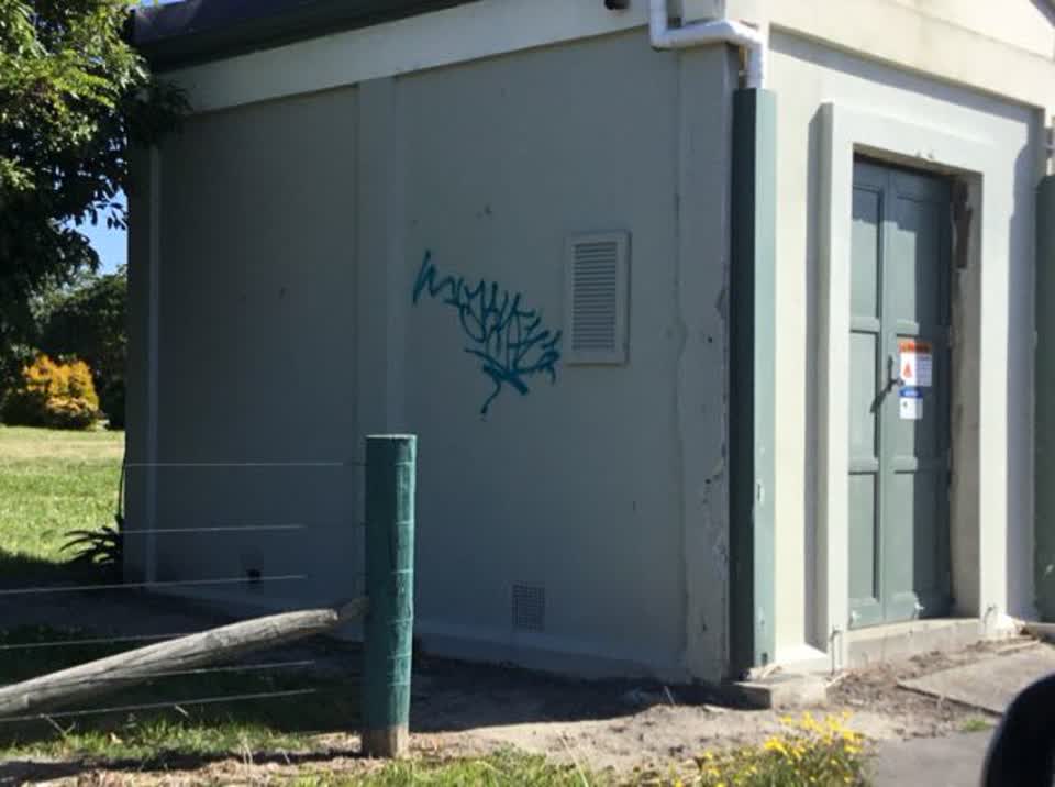 The photograph attached to this graffiti report
