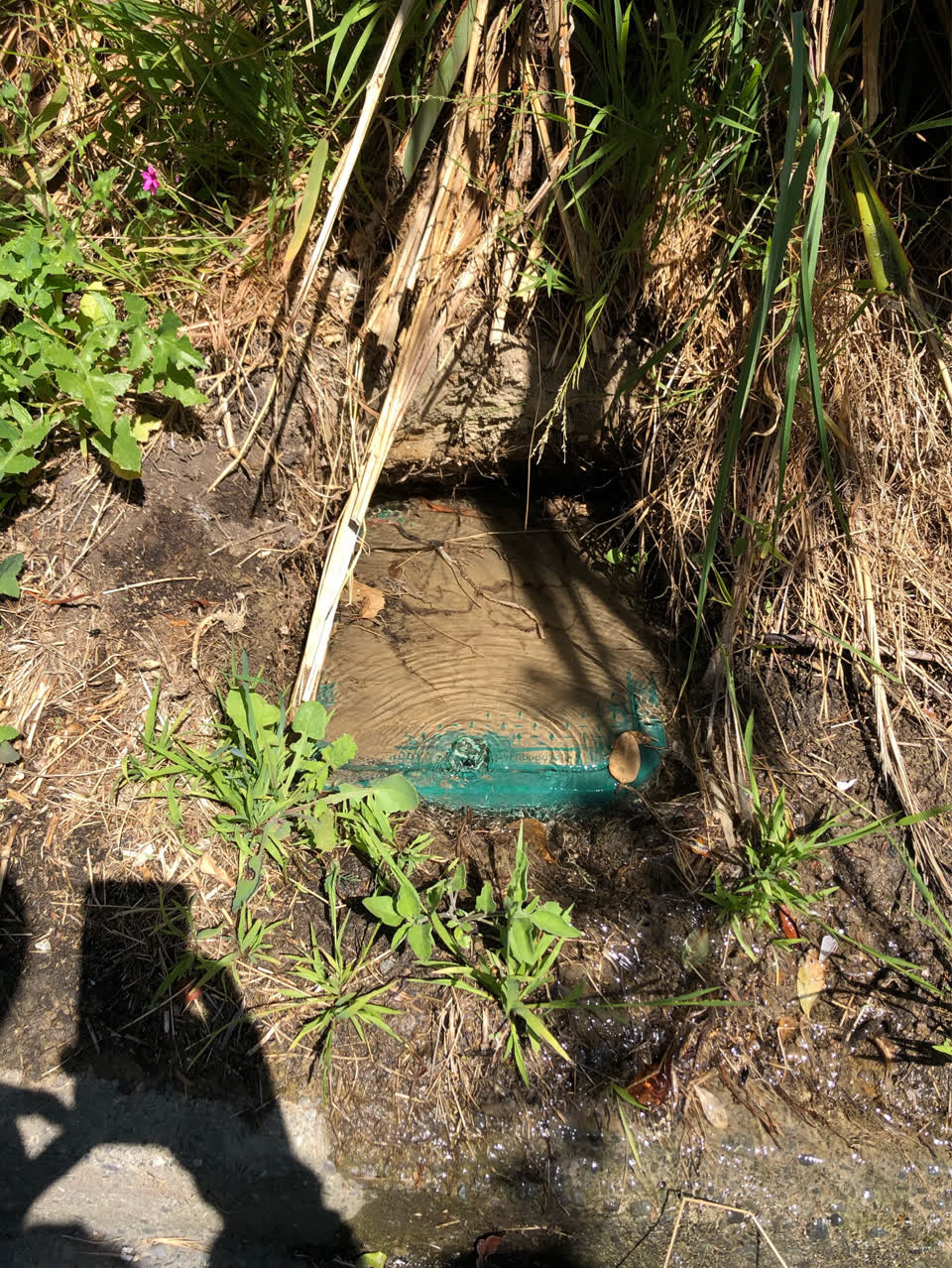 The photograph attached to this water supply report