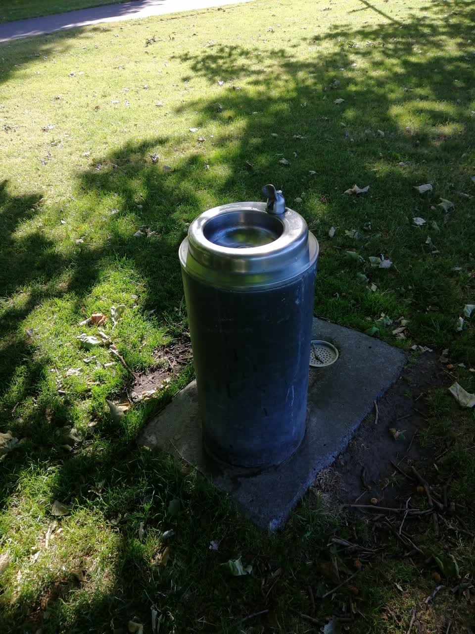 The photograph attached to this parks report