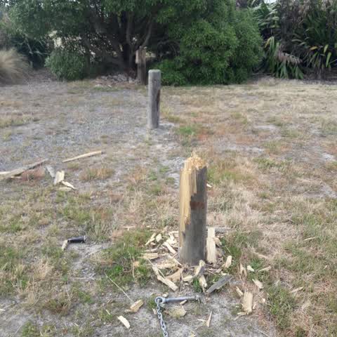 Parks, a report photo