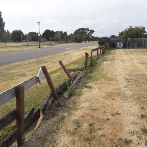 Parks, a report photo