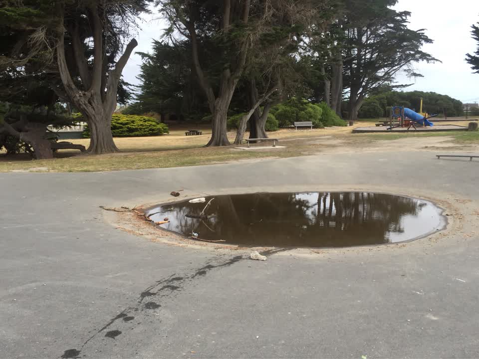 The photograph attached to this parks report