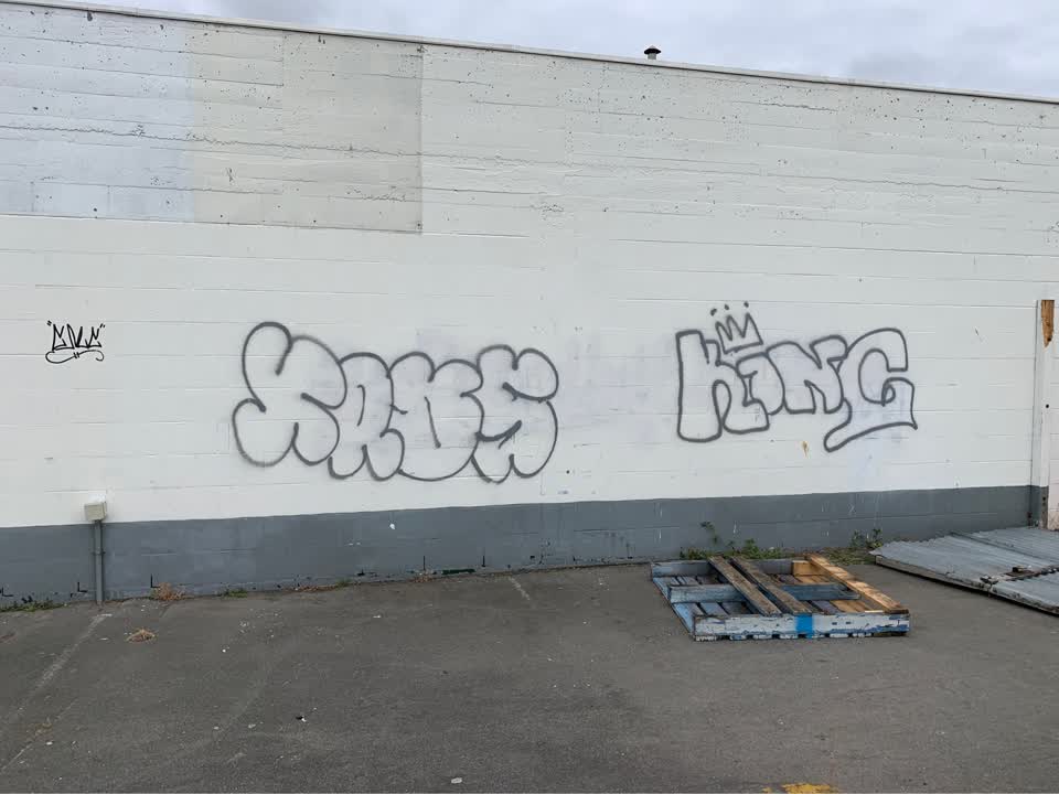 The photograph attached to this graffiti report