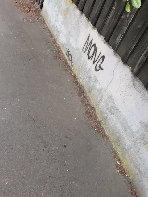Graffiti, a report photo