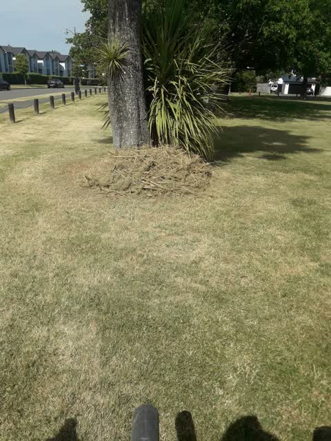 Parks, a report photo