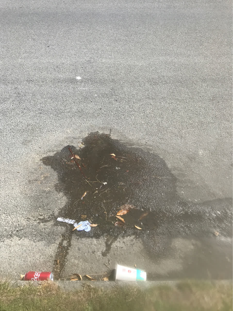 The photograph attached to this water supply report