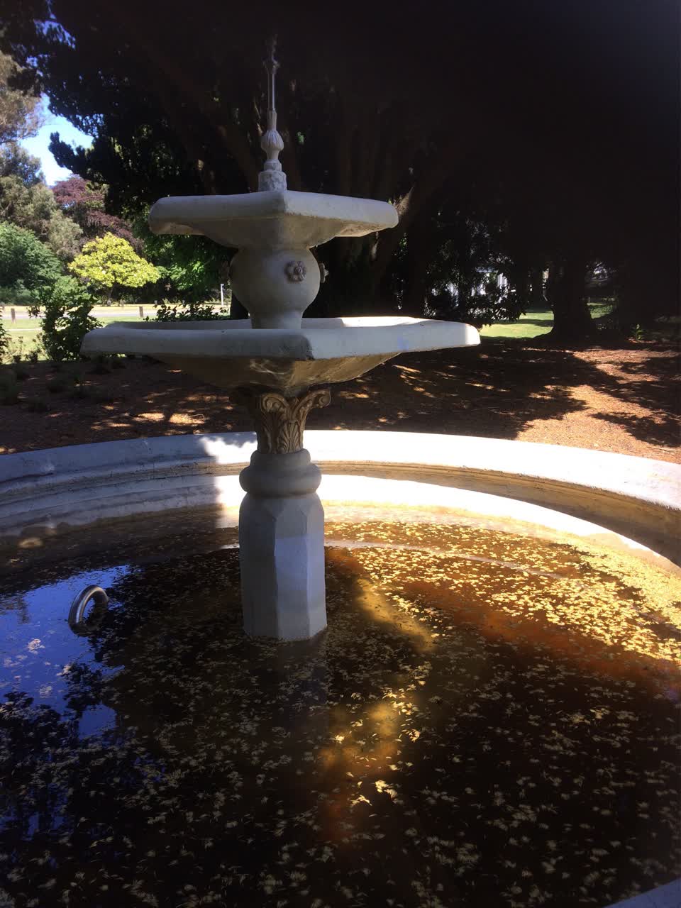The photograph attached to this parks report