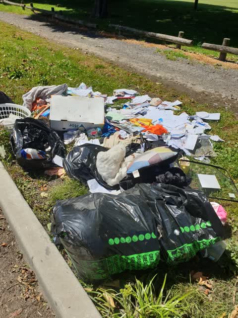 Rubbish/Recycling, a report photo