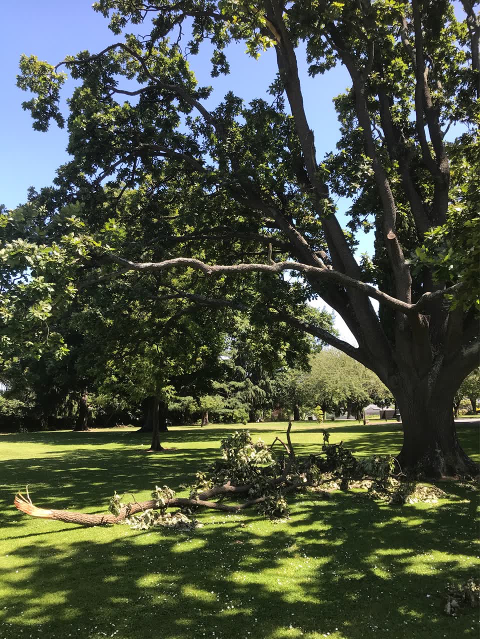 The photograph attached to this parks report