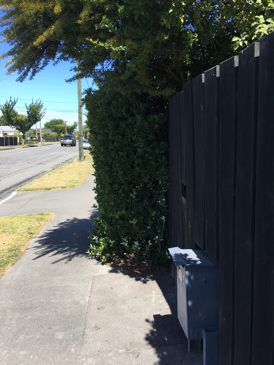 The photograph attached to this parks report