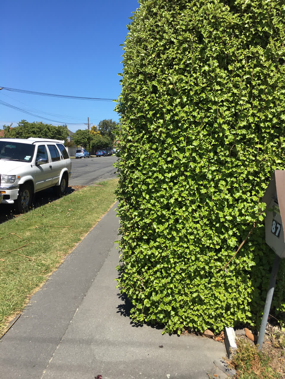 The photograph attached to this parks report