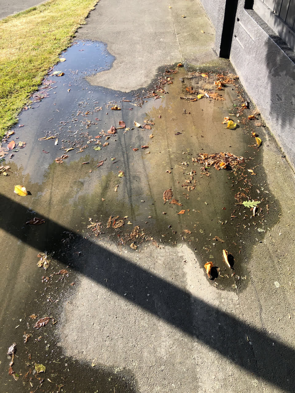 The photograph attached to this water supply report