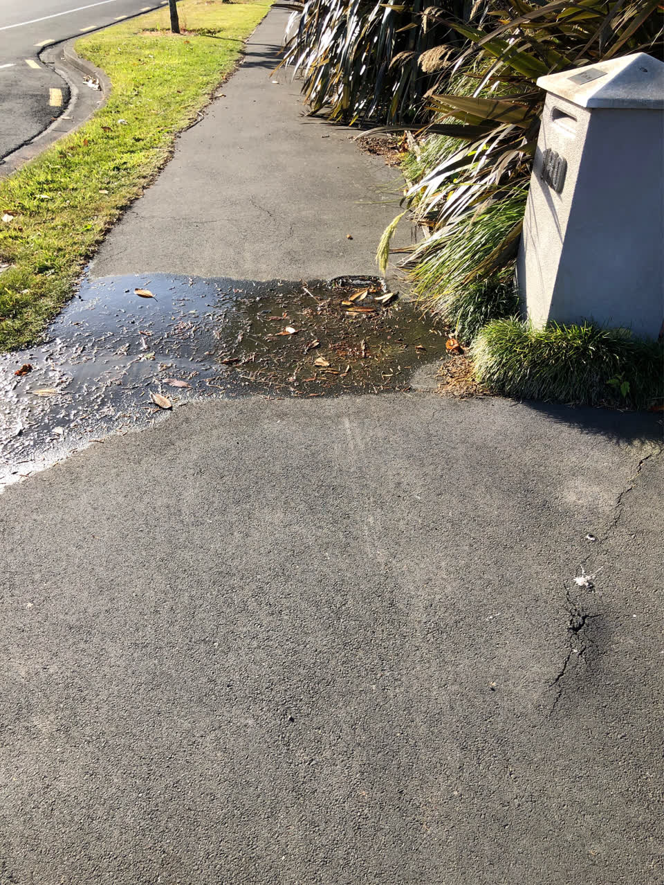 The photograph attached to this water supply report