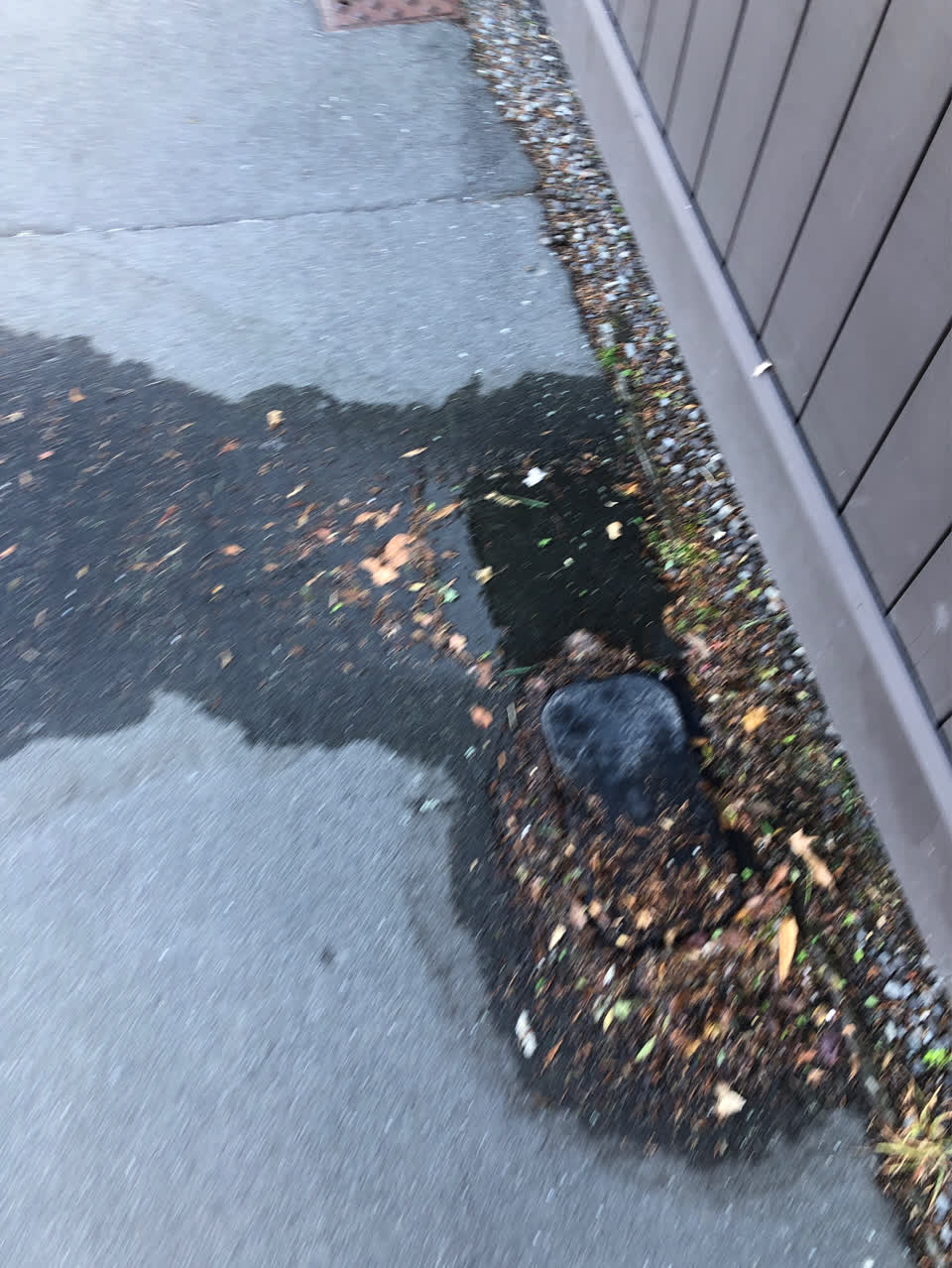 The photograph attached to this water supply report