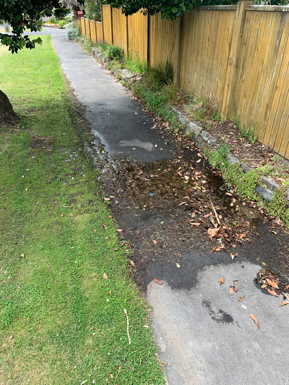 The photograph attached to this water supply report
