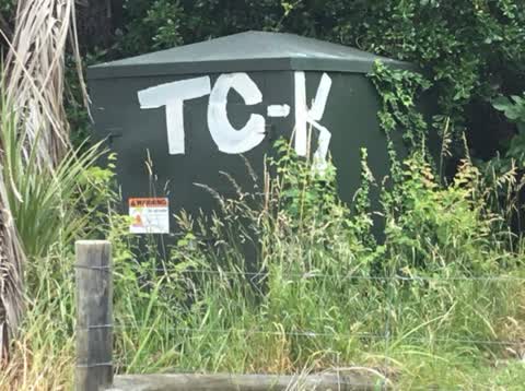 Graffiti, a report photo