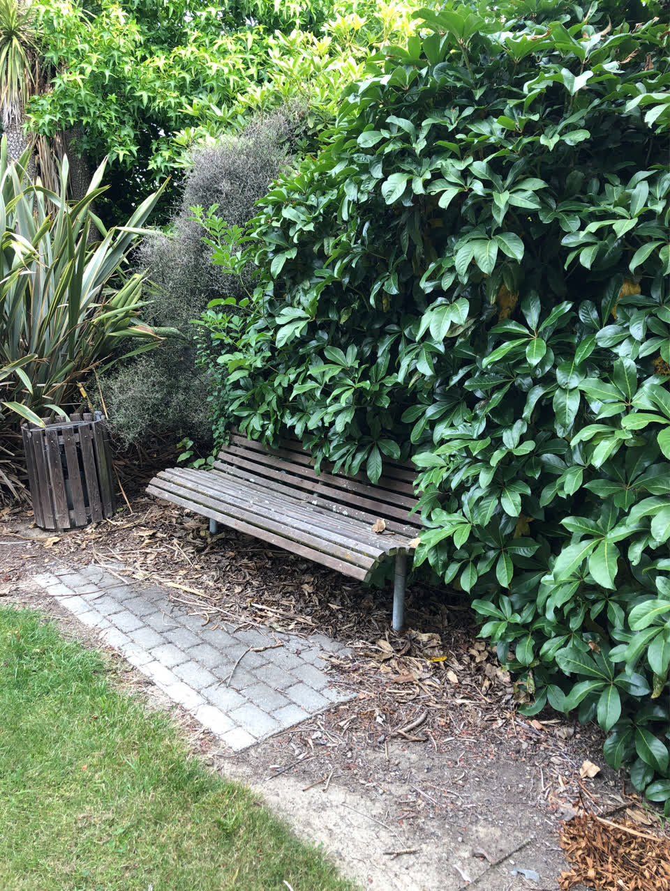 The photograph attached to this parks report