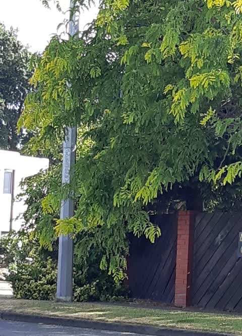 Roading/Streets, a report photo