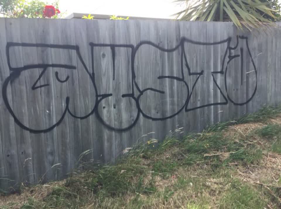 The photograph attached to this graffiti report