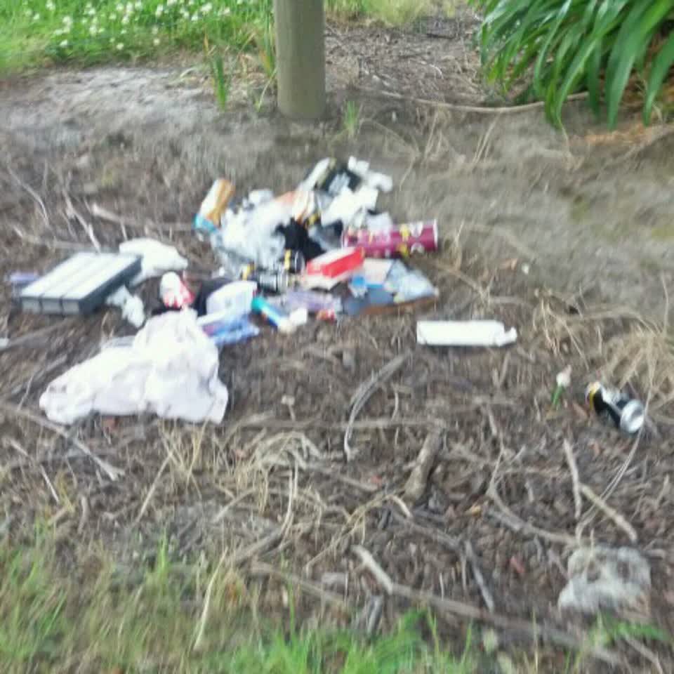 The photograph attached to this rubbish/recycling report