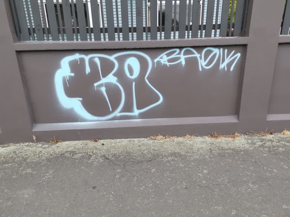 The photograph attached to this graffiti report