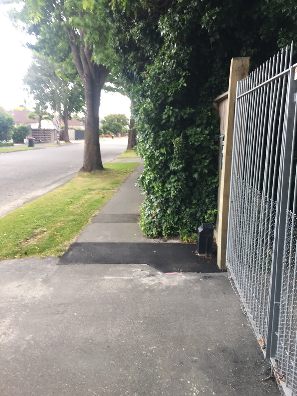 The photograph attached to this parks report