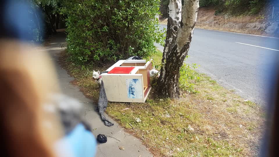 The photograph attached to this rubbish/recycling report