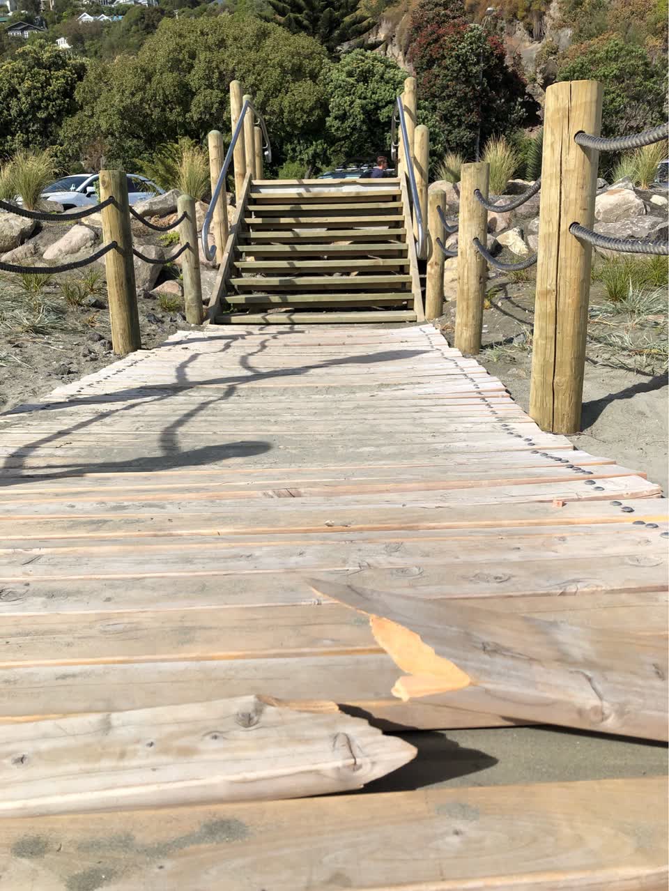 The photograph attached to this parks report