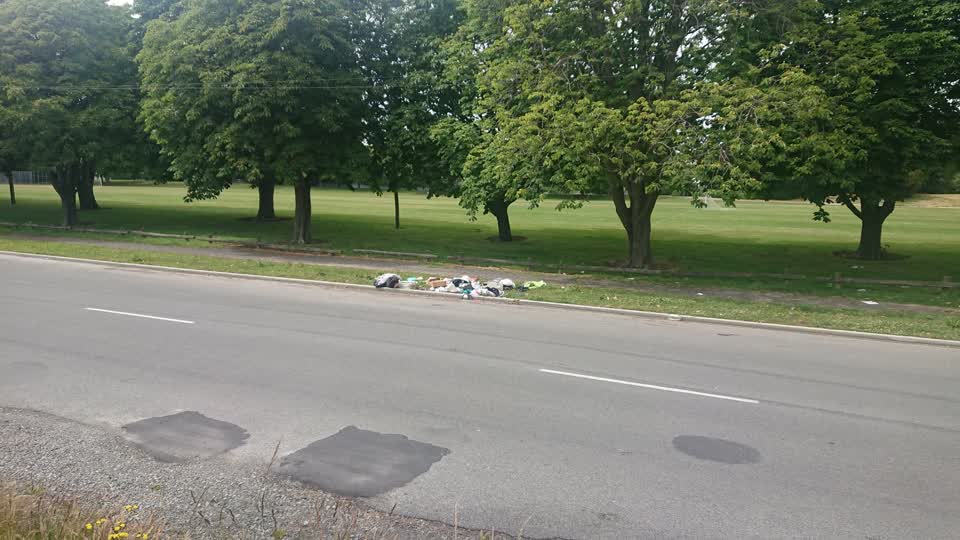 The photograph attached to this rubbish/recycling report