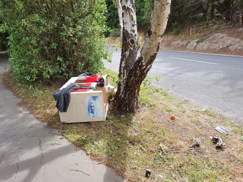 Rubbish/Recycling — a report photo