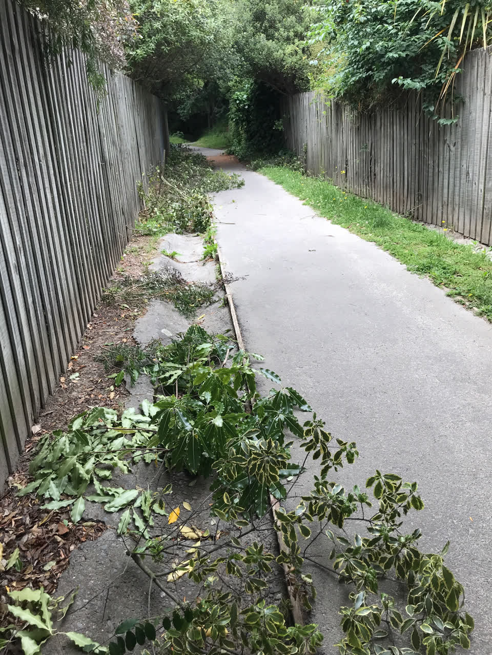 The photograph attached to this parks report