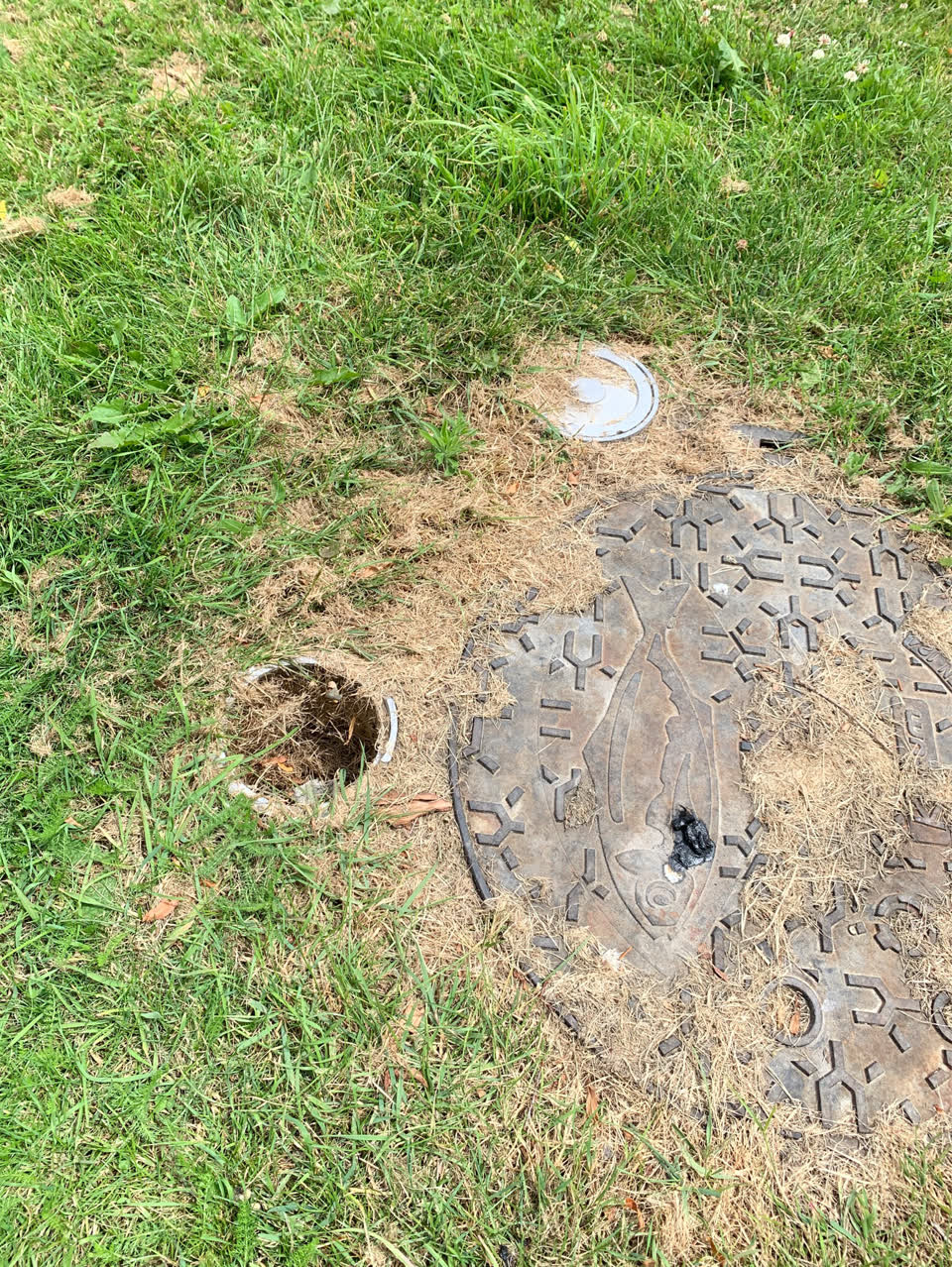 The photograph attached to this parks report