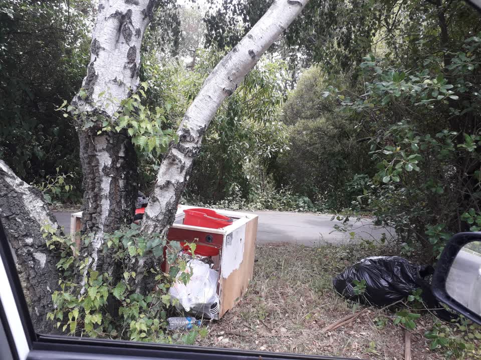 The photograph attached to this rubbish/recycling report