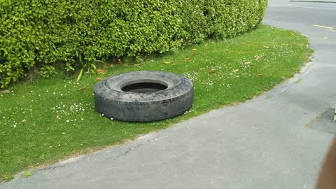Rubbish/Recycling, a report photo