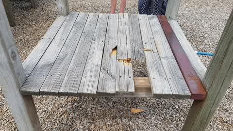 Parks, a report photo