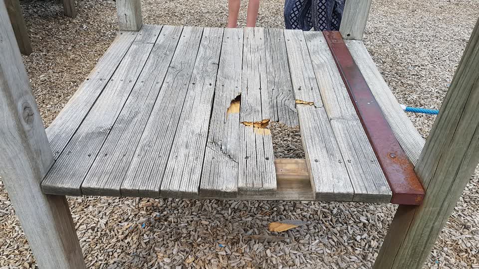 The photograph attached to this parks report