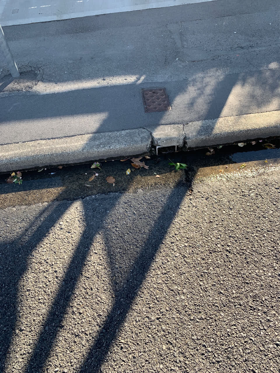 The photograph attached to this water supply report