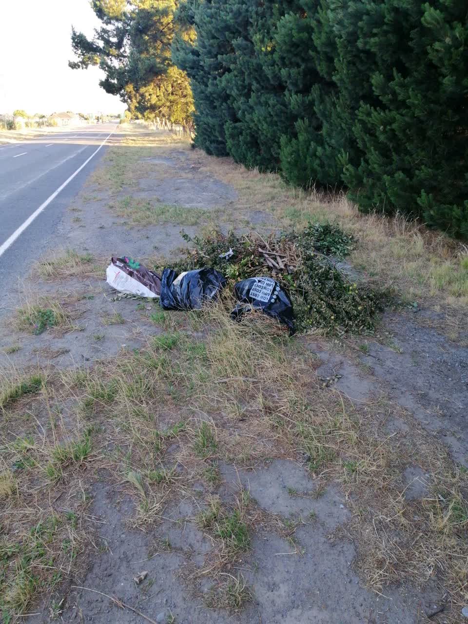 The photograph attached to this rubbish/recycling report