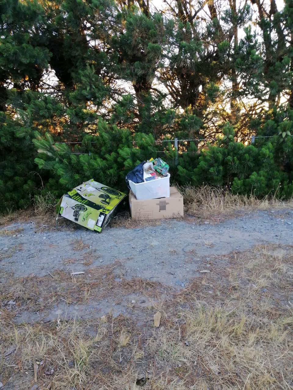 The photograph attached to this rubbish/recycling report