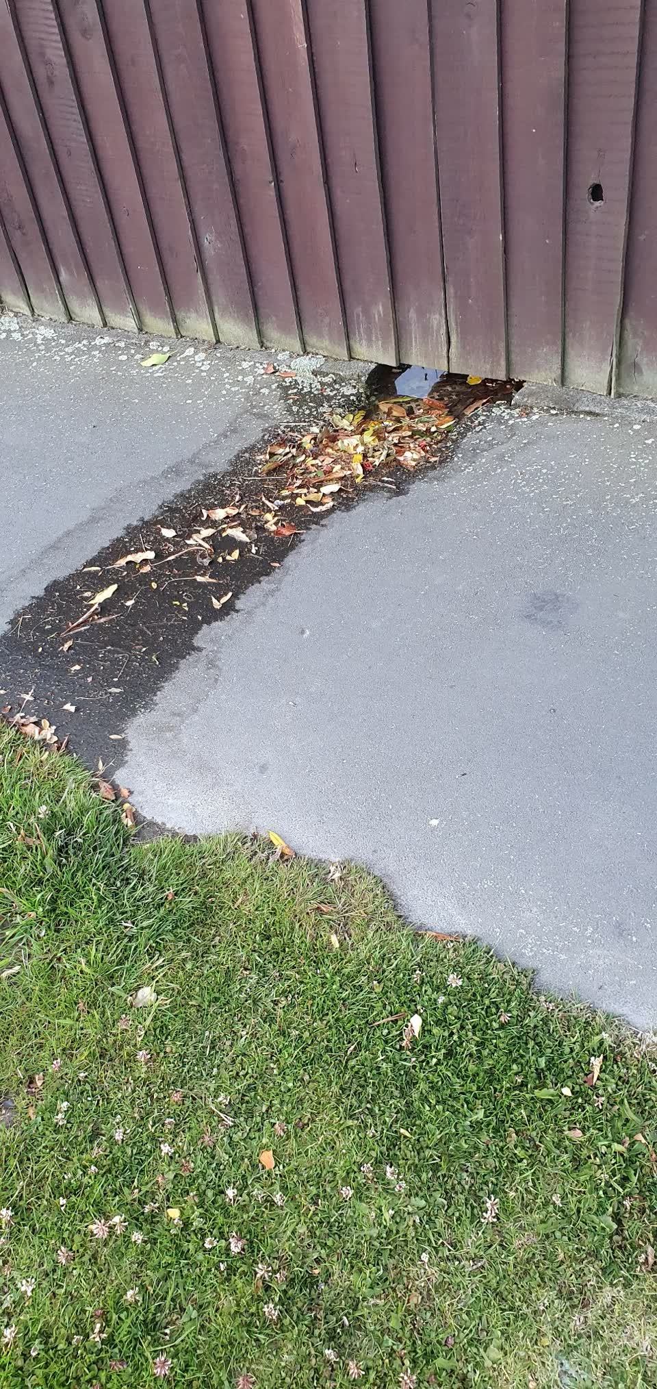 The photograph attached to this water supply report