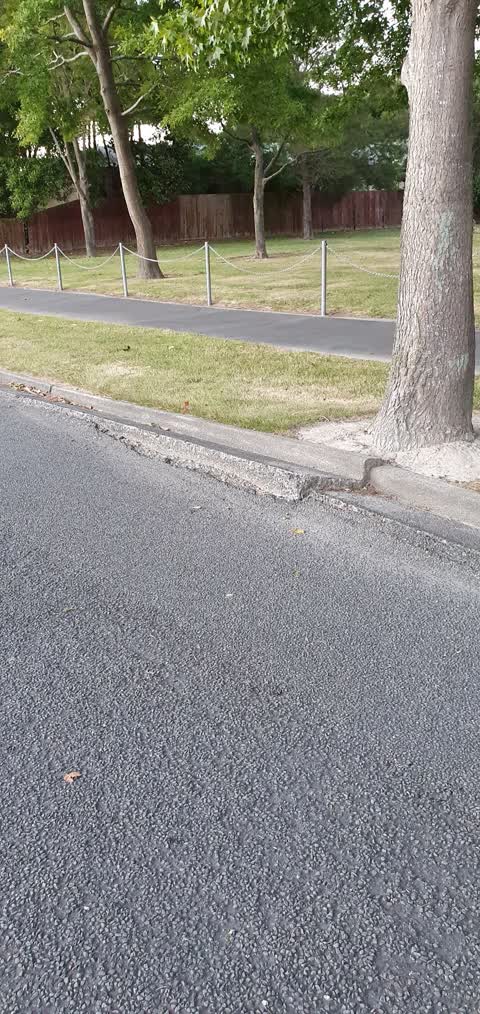 Roading/Streets, a report photo