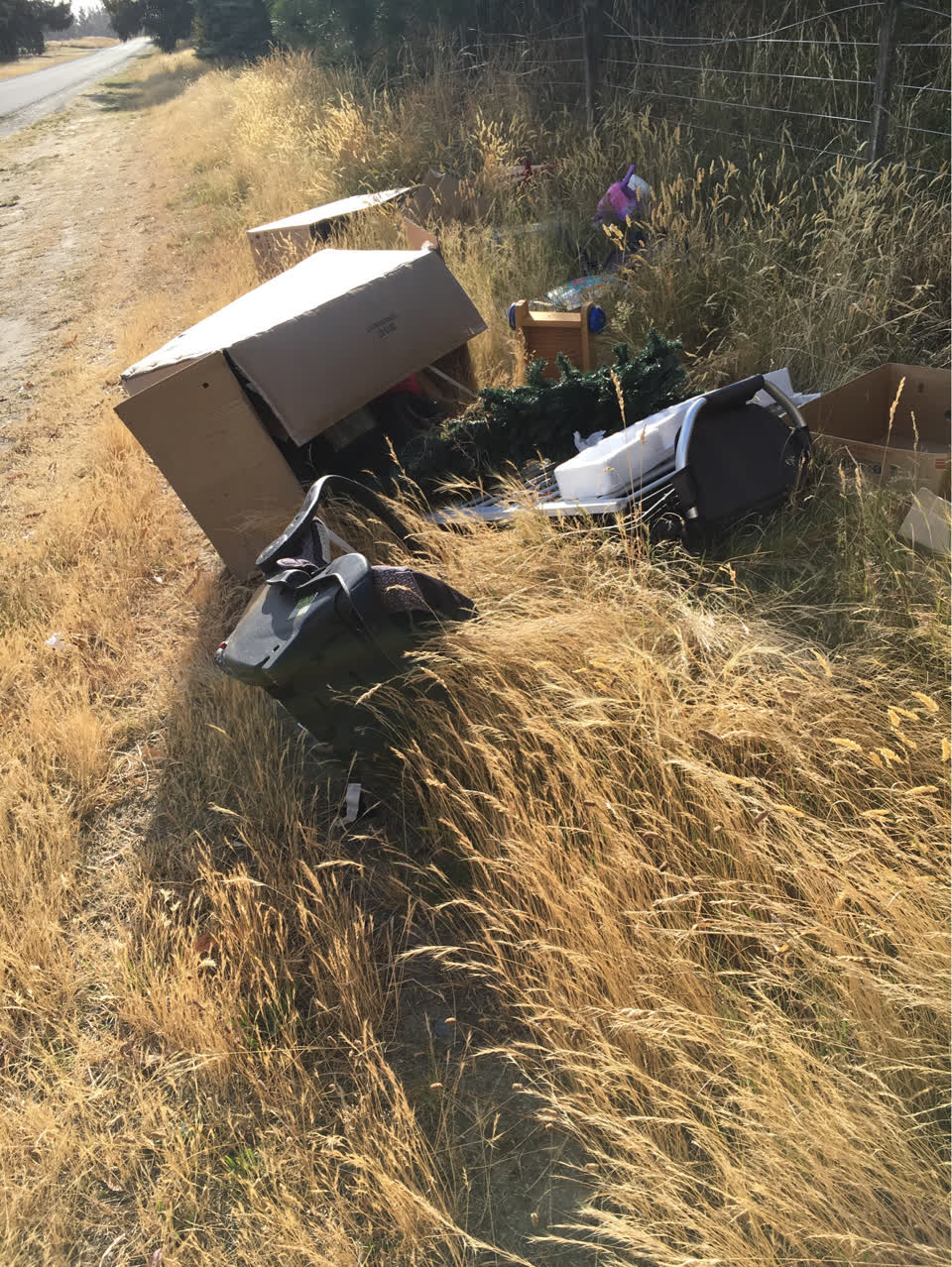 The photograph attached to this rubbish/recycling report